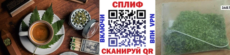 дарнет шоп  Тосно  Canna-Cookies конопля 