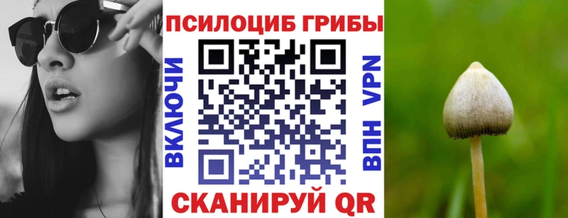 Галлюциногенные грибы Magic Shrooms  Тосно 