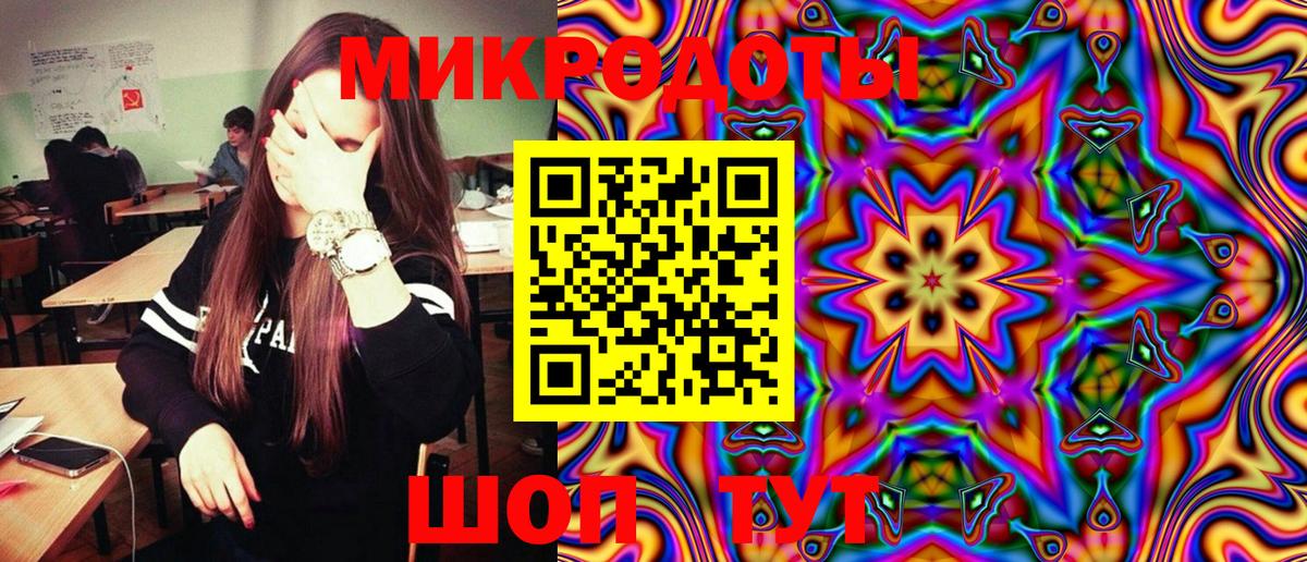 Тосно  Псилоцибиновые грибы Psilocybe  Вход с VPN 