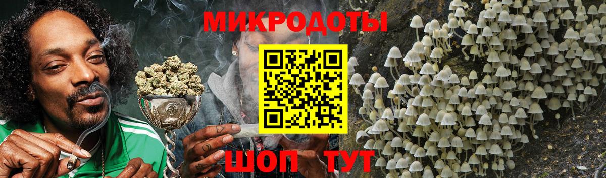 Псилоцибиновые грибы прущие грибы Тосно